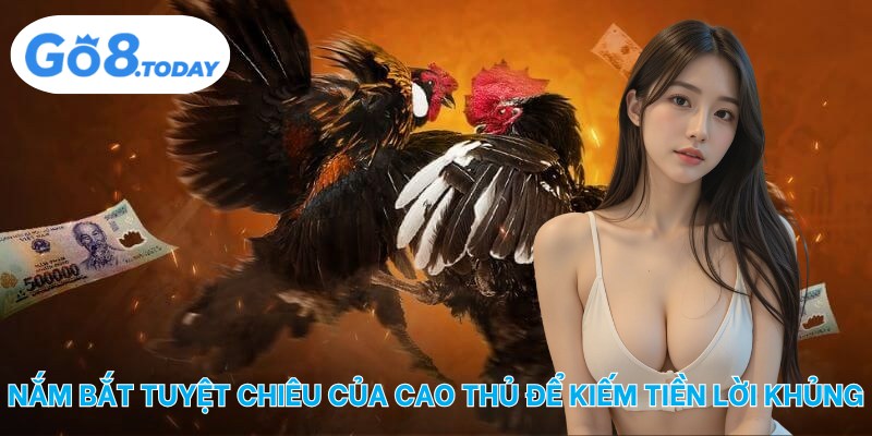 Nắm bắt tuyệt chiêu của cao thủ để kiếm tiền lời khủng